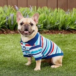 Frisco Striped Dog & Cat Polo Shirt, Red & Blue