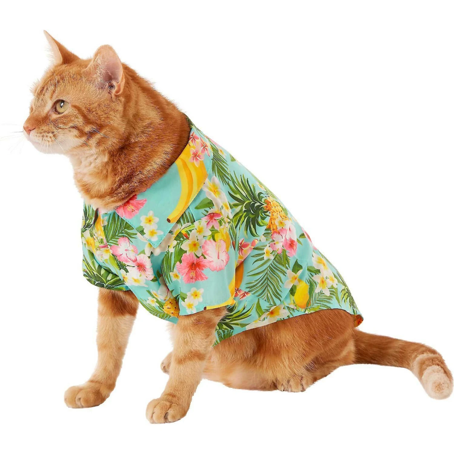 Frisco Pineapple Hawaiian Camp Dog & Cat Shirt - Image 3