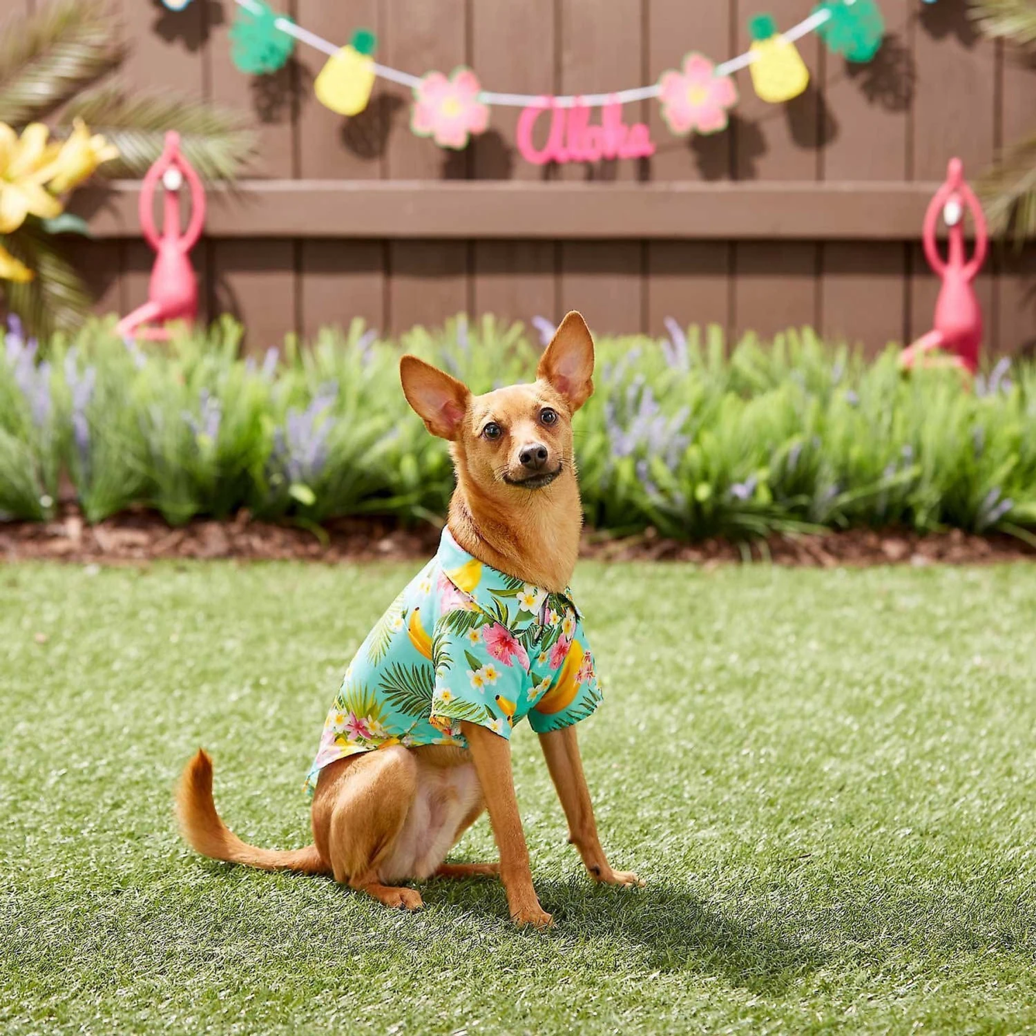 Frisco Pineapple Hawaiian Camp Dog & Cat Shirt - Image 8