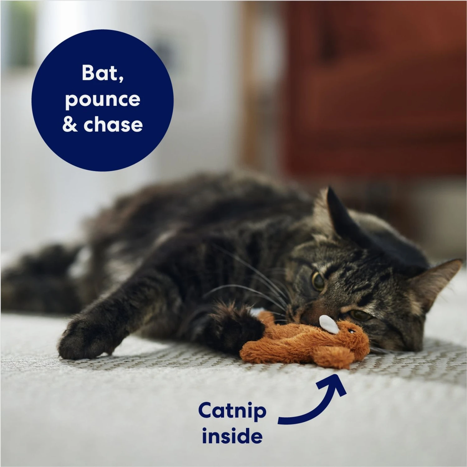 Frisco Squirrel Plush Cat Toy With Refillable Catnip - Image 3