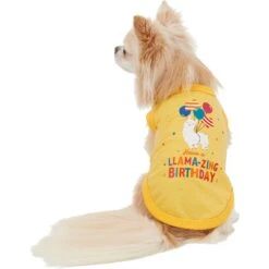 Frisco Llama-zing Birthday Dog & Cat T-Shirt