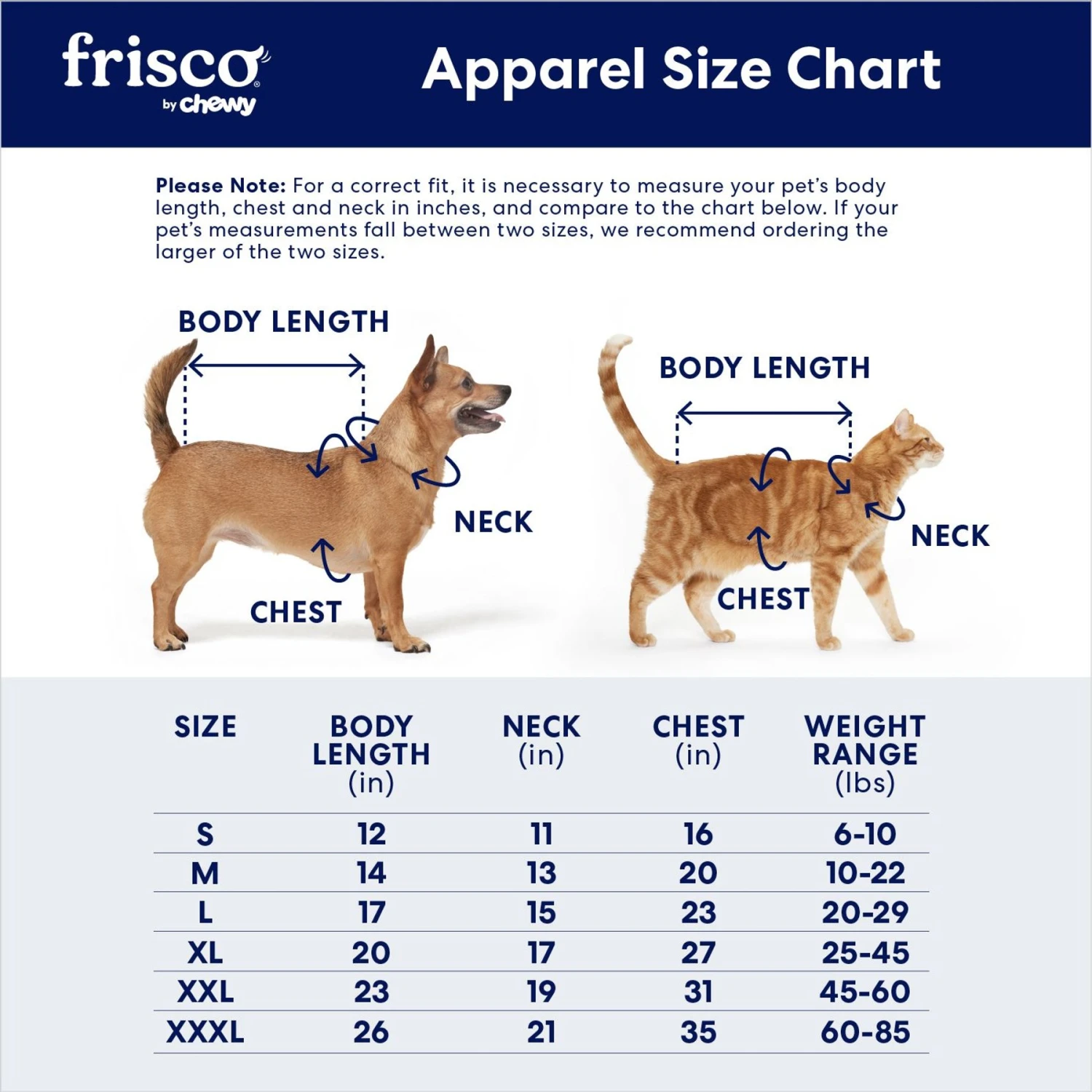 Frisco Mid-Heavyweight Love Insulated Dog & Cat Coat - Image 2