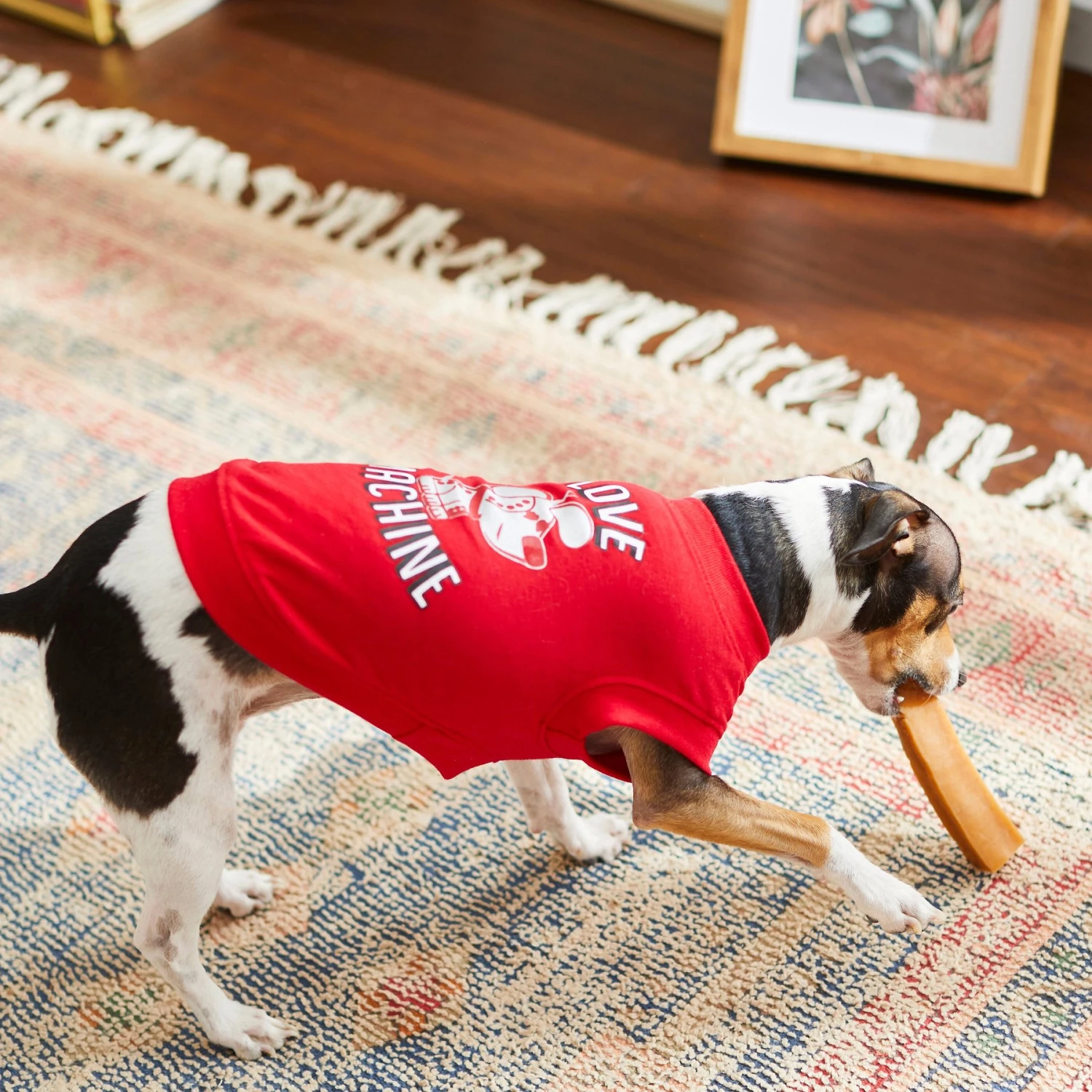 Frisco Love Machine Dog & Cat T-shirt - Image 7