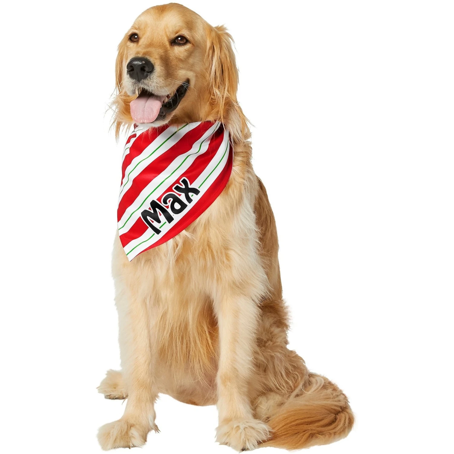 Frisco Peppermint Personalized Dog & Cat Bandana - Image 7