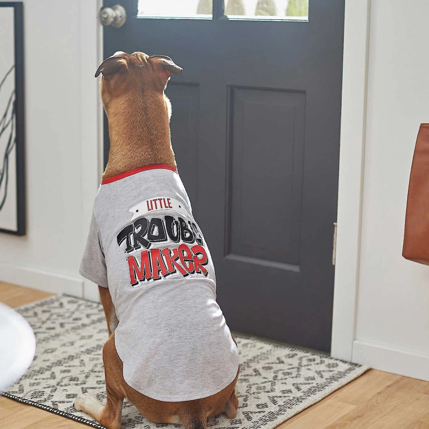 Frisco Little Trouble Maker Dog & Cat T-Shirt - Image 6