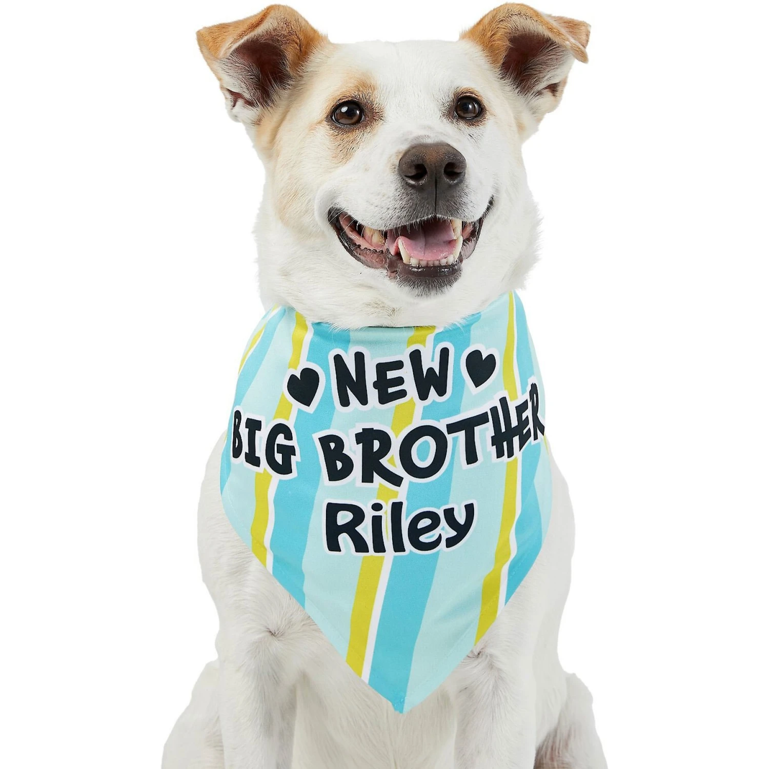 Frisco Big Brother Personalized Dog & Cat Bandana - Image 7