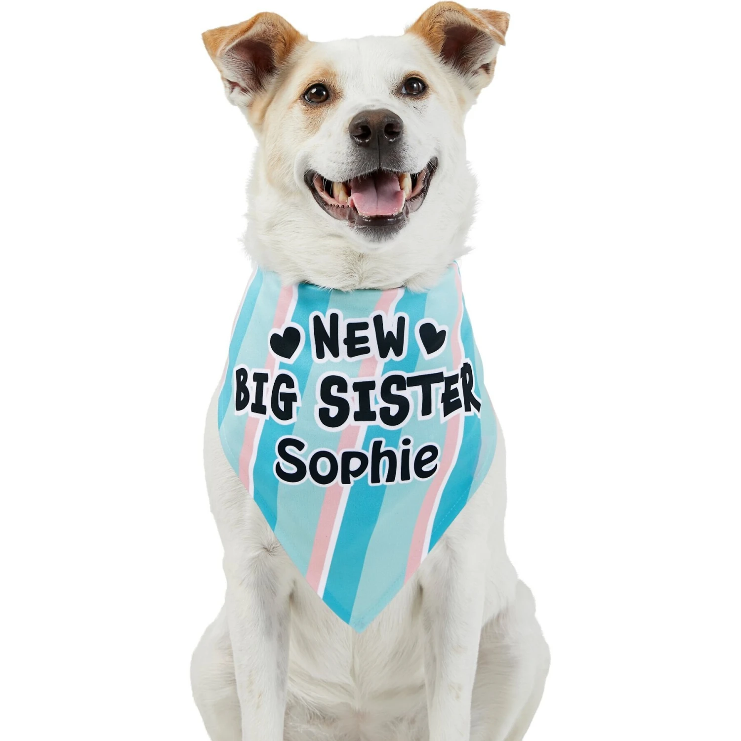 Frisco Big Sister Personalized Dog & Cat Bandana - Image 7