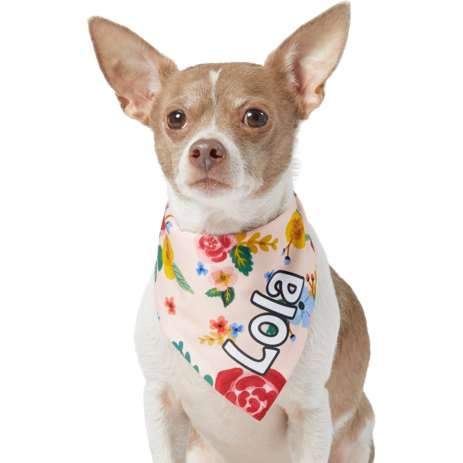 Frisco Floral Personalized Dog & Cat Bandana - Image 7