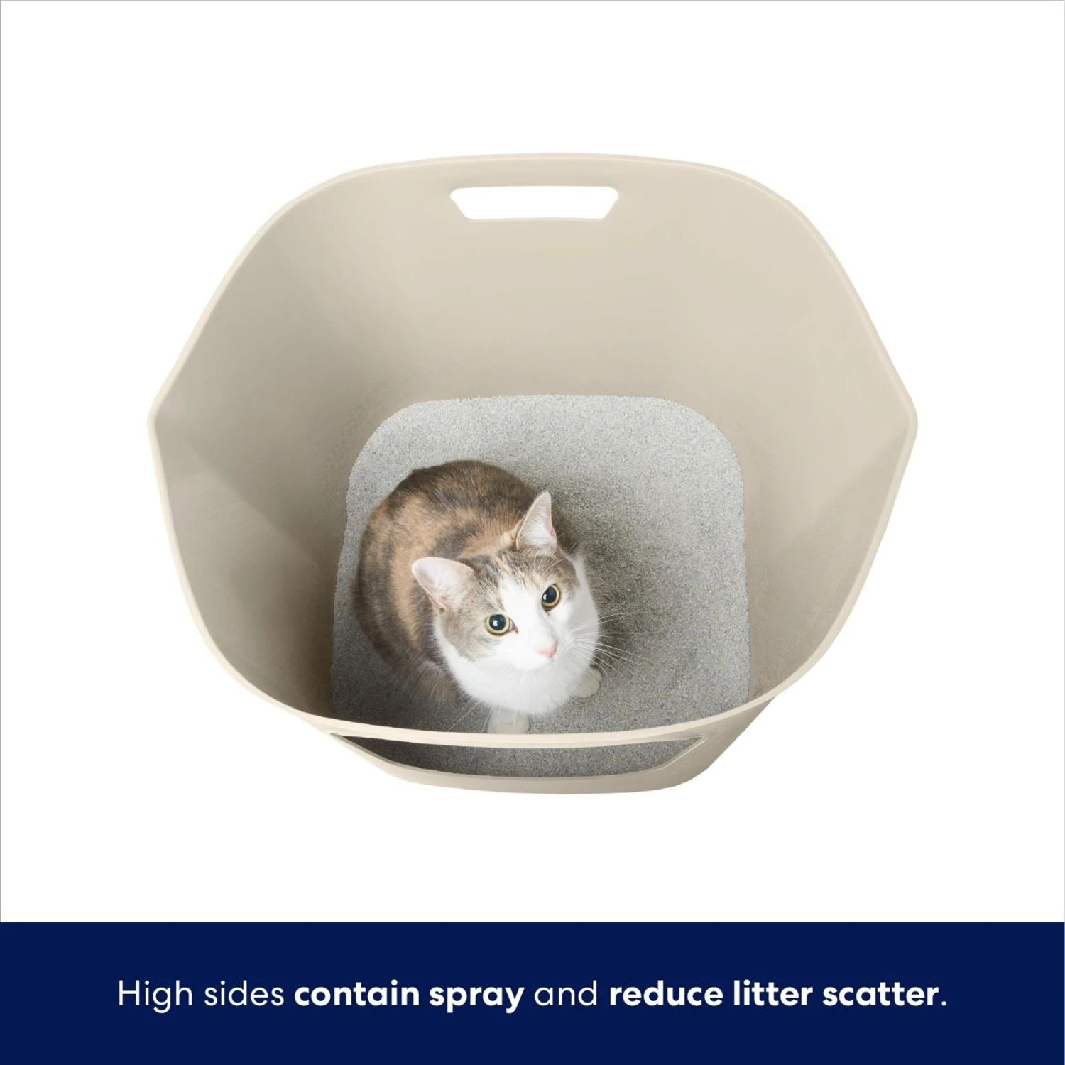 Frisco Leaf High-Sided Cat Litter Box, Large - Image 3
