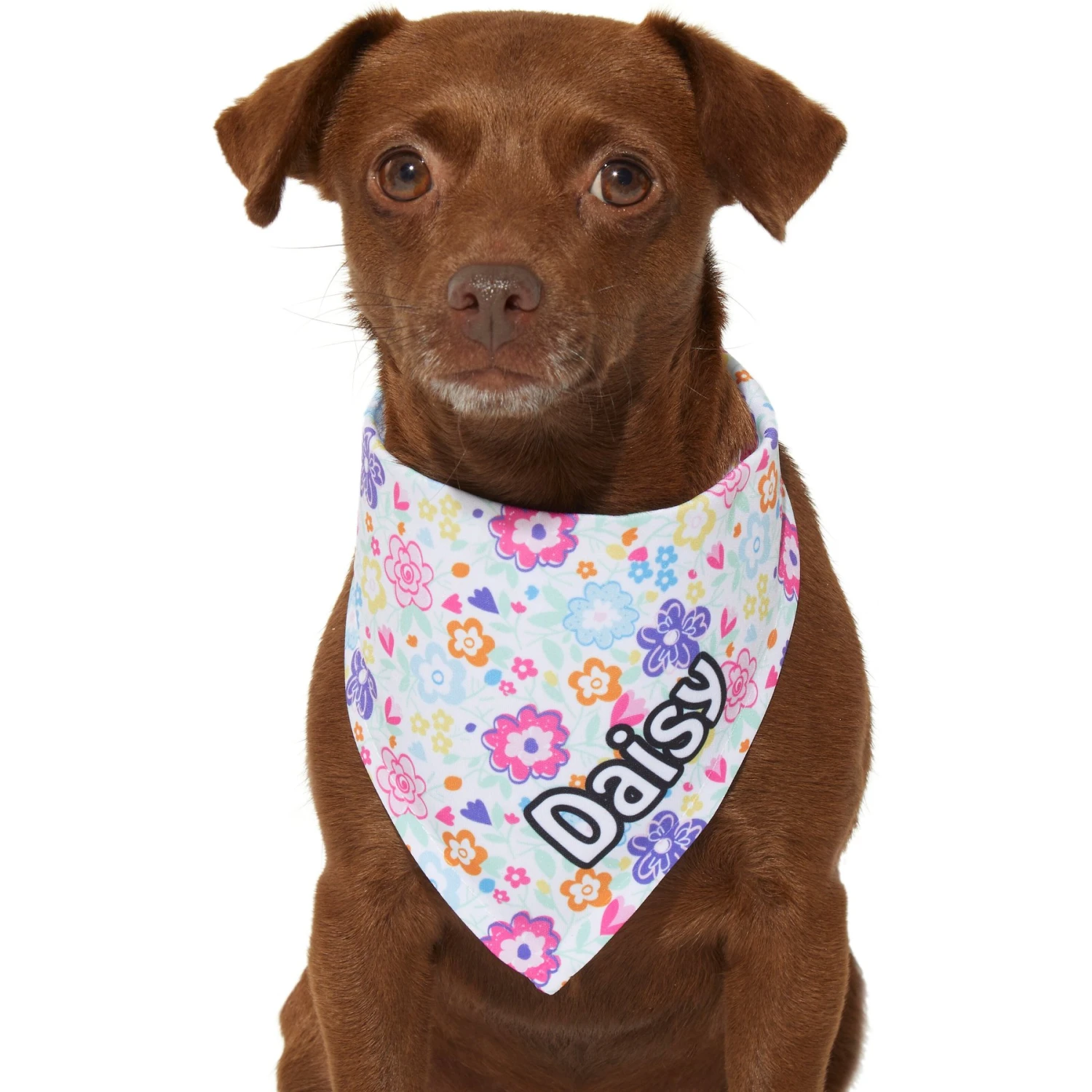 Frisco Bright Floral Personalized Dog & Cat Bandana - Image 7