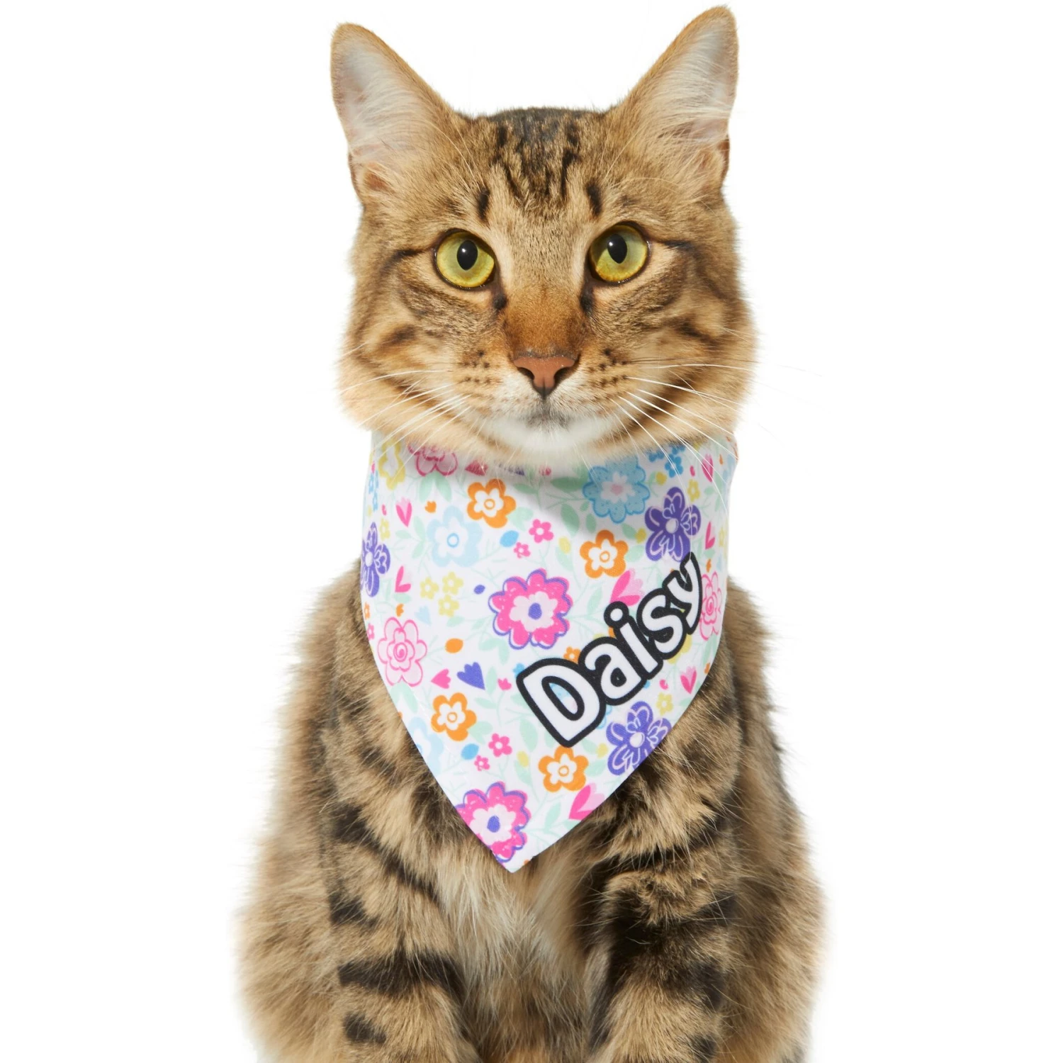 Frisco Bright Floral Personalized Dog & Cat Bandana - Image 8