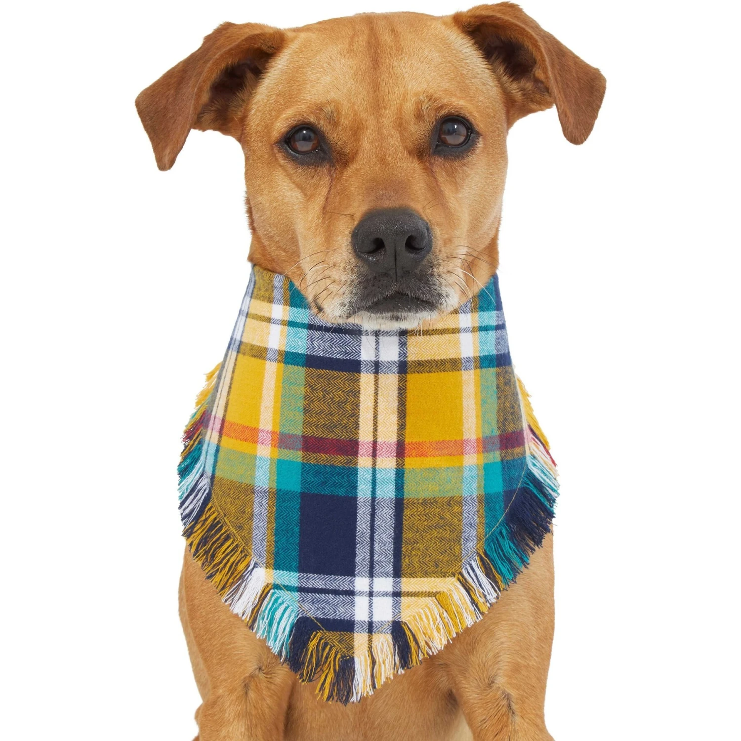 Frisco Blue/Yellow Plaid Dog & Cat Flannel Bandana - Image 3