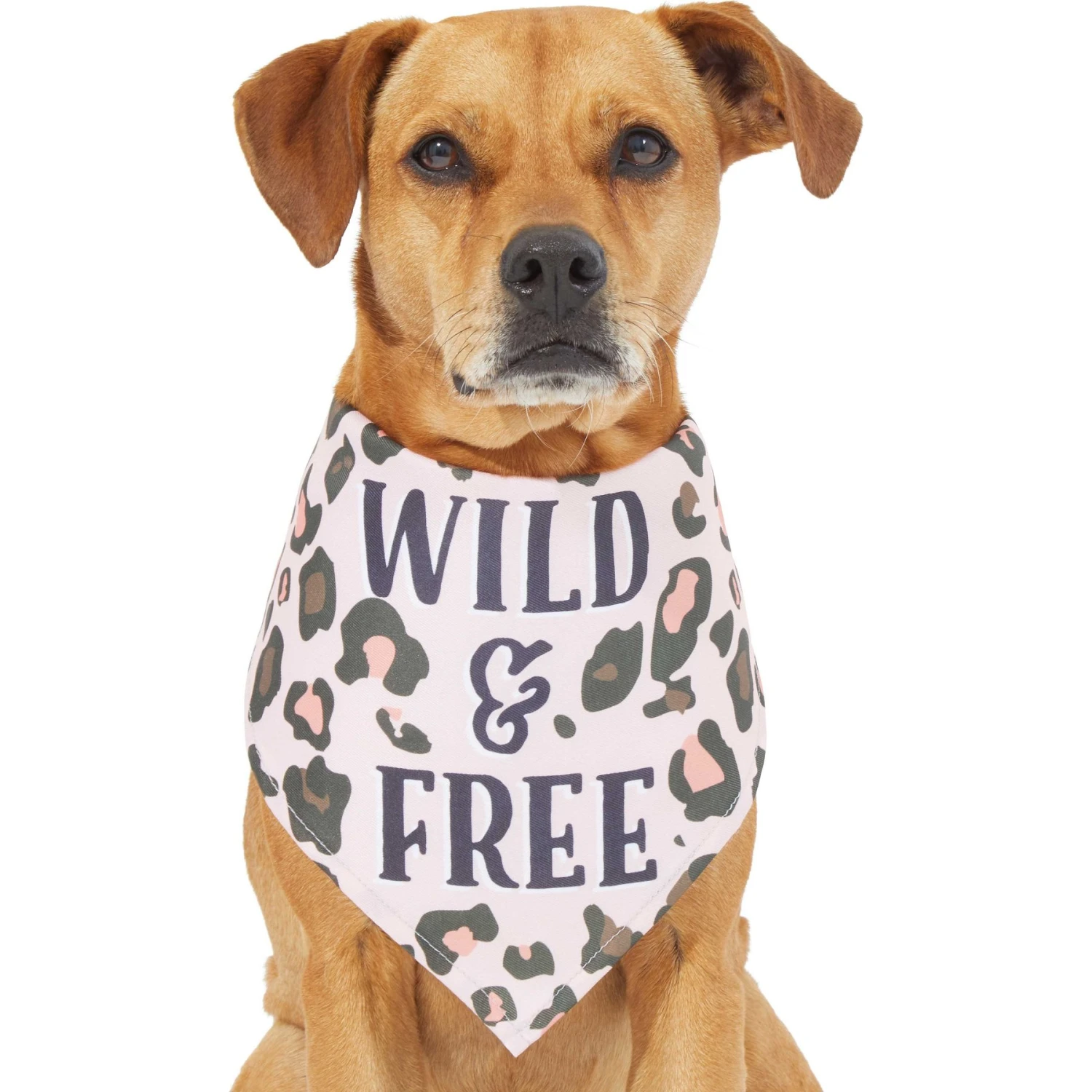Frisco Pink Leopard Dog & Cat Bandana - Image 3