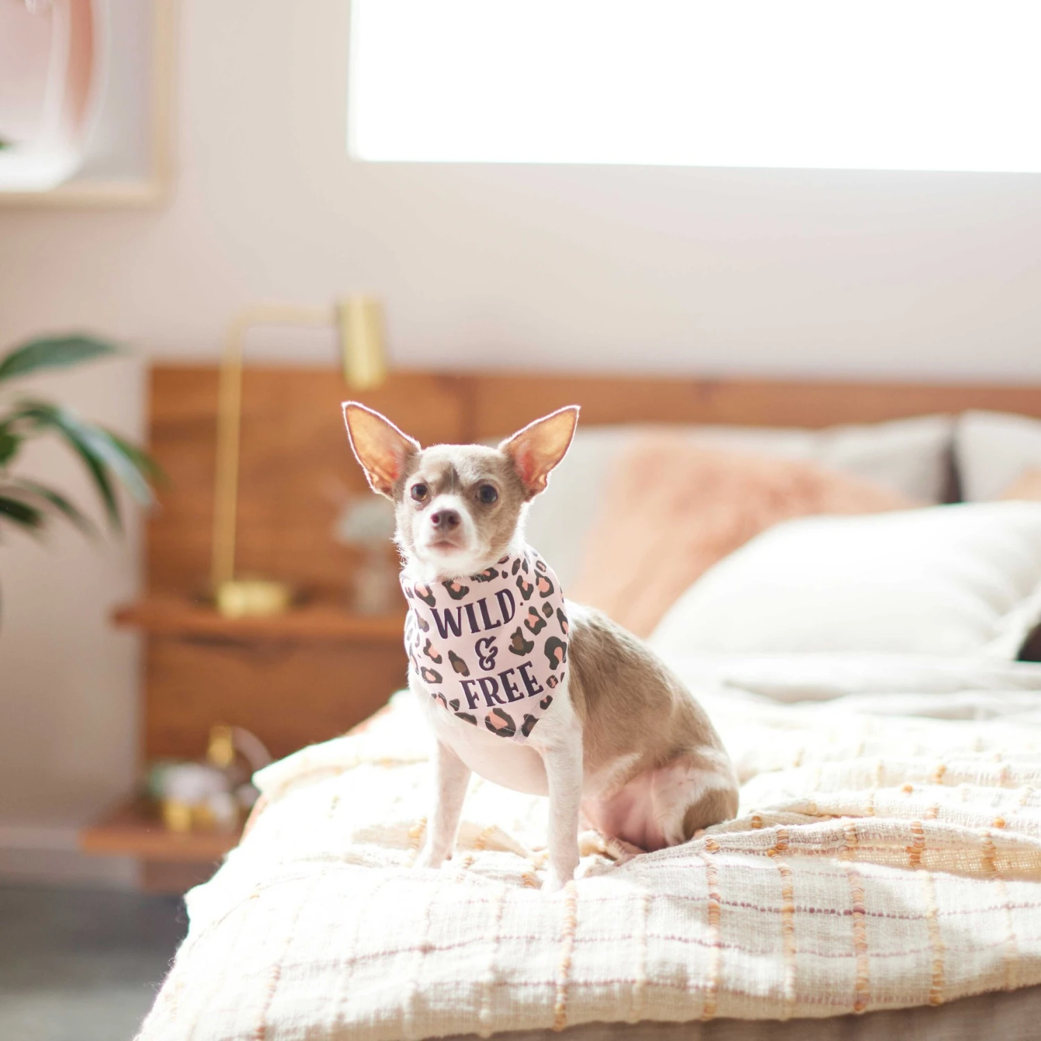 Frisco Pink Leopard Dog & Cat Bandana - Image 6