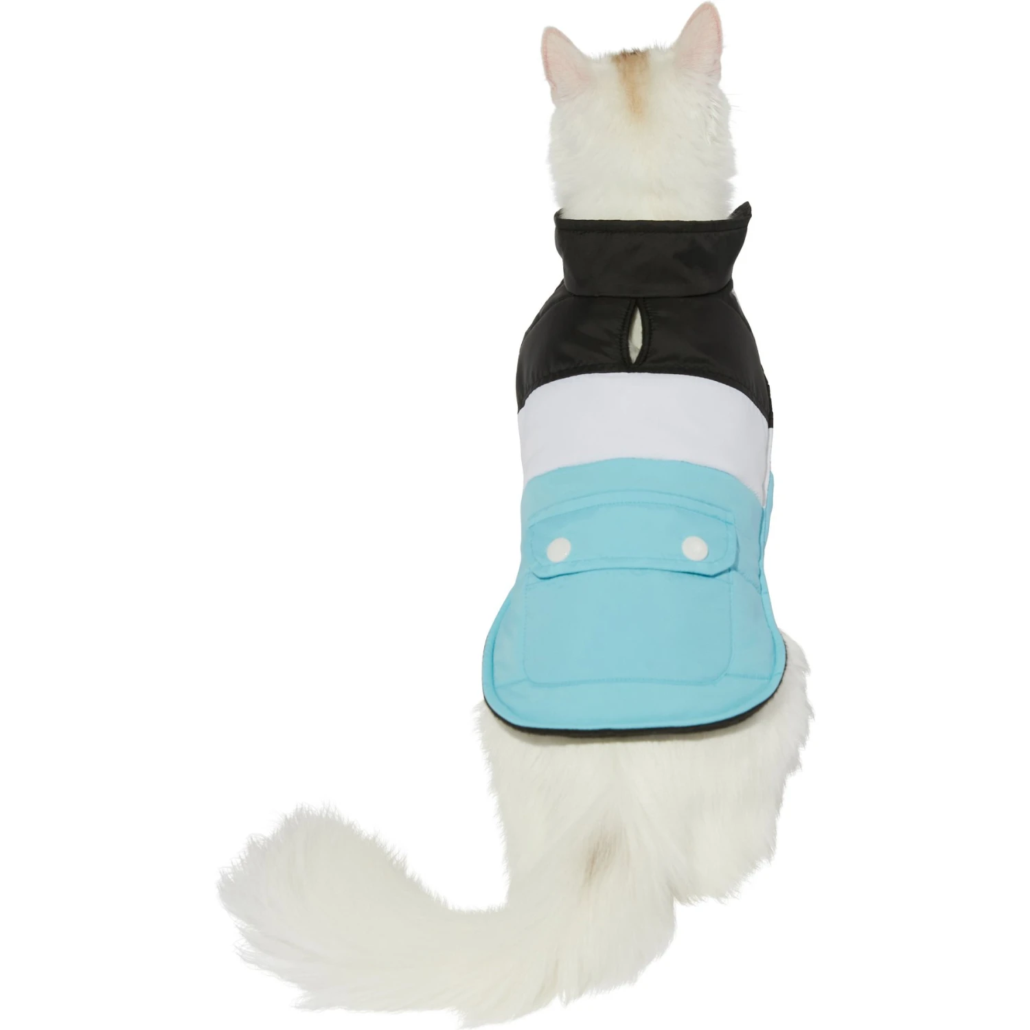 Frisco Mediumweight Colorblock Insulated Dog & Cat Puffer Coat With Pocket, Blue - Image 3