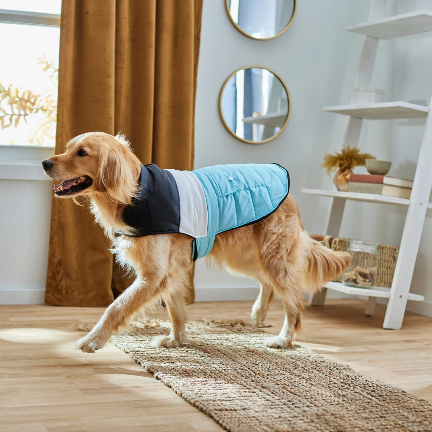 Frisco Mediumweight Colorblock Insulated Dog & Cat Puffer Coat With Pocket, Blue - Image 7