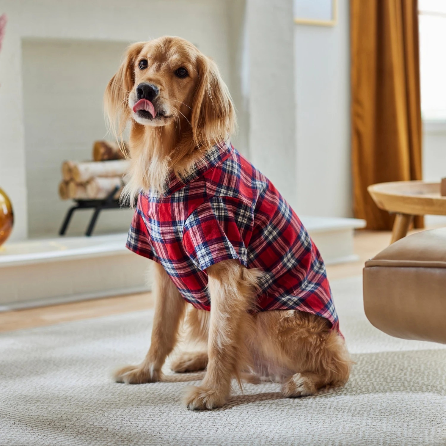 Frisco Red Plaid Dog & Cat Shirt - Image 9