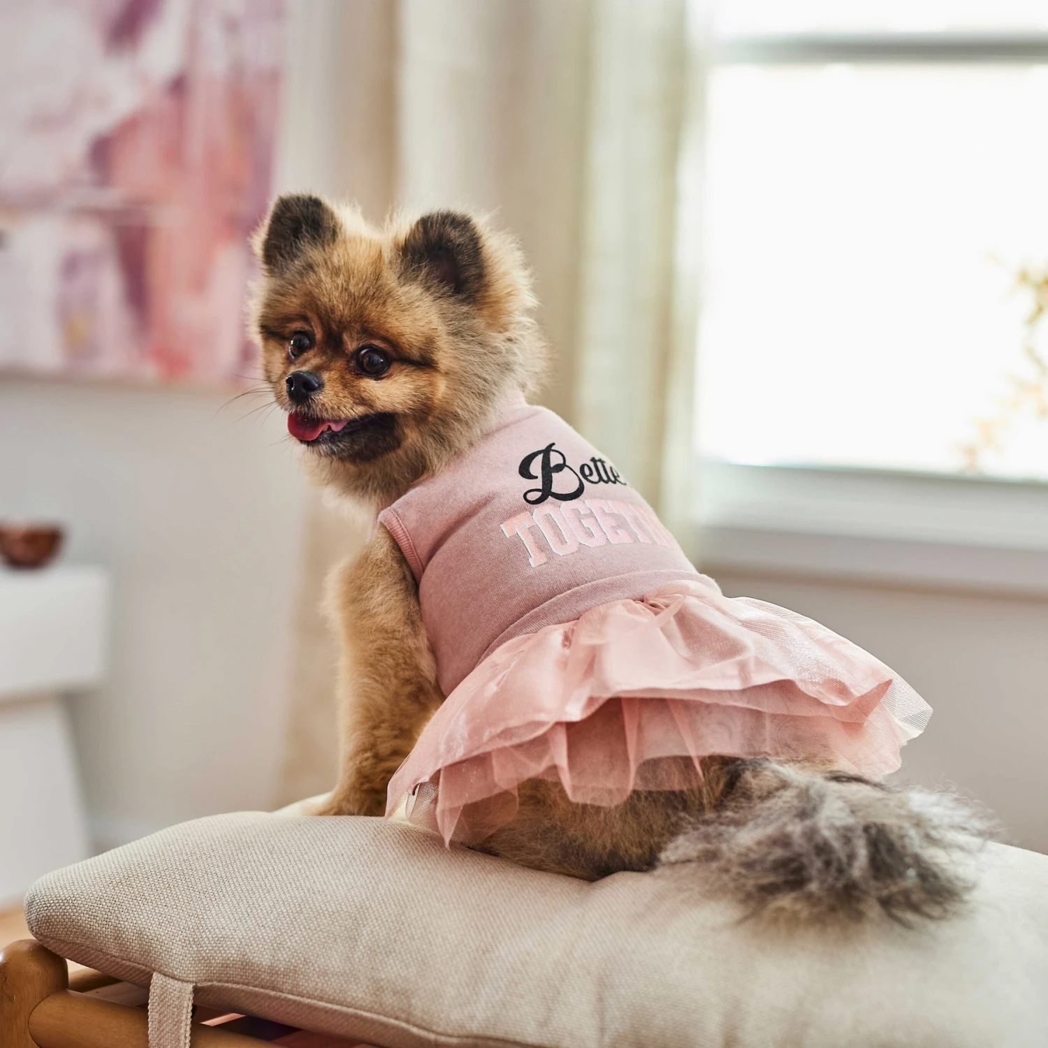 Frisco Better Together Dog & Cat Dress - Image 6
