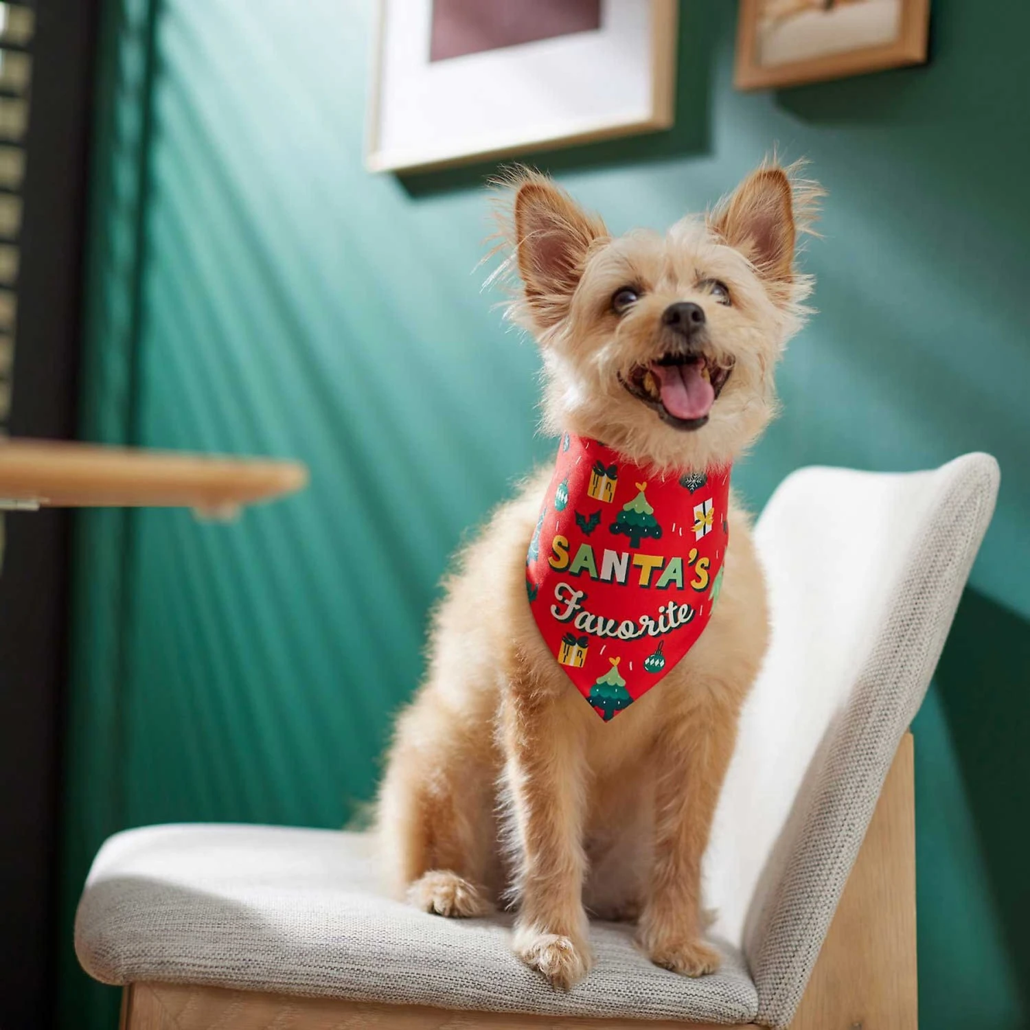 Frisco Santa's Favorite & Cheers To The New Year Dog & Cat Reversible Bandana - Image 7