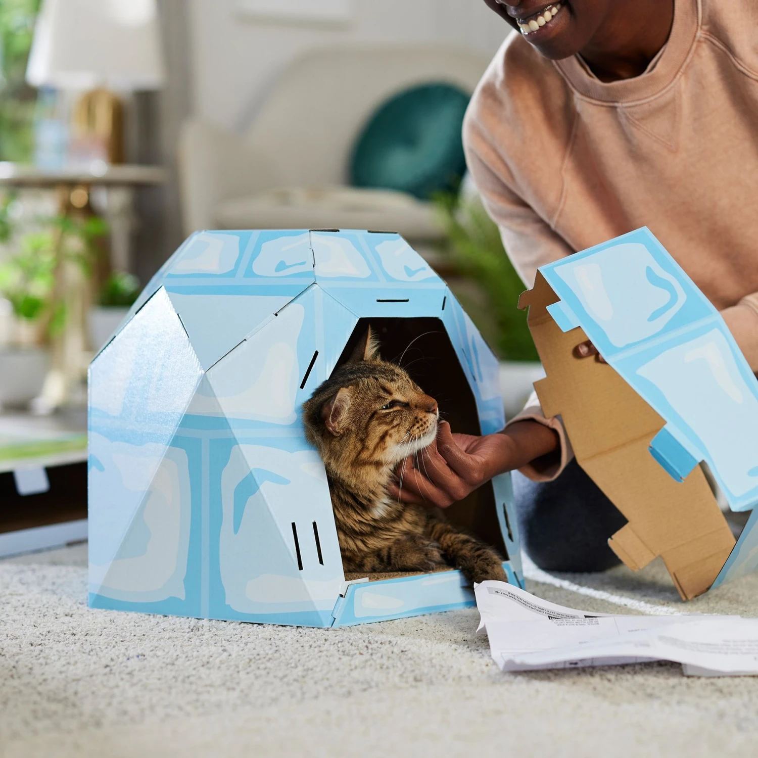 Frisco Igloo Cardboard Cat House - Image 4