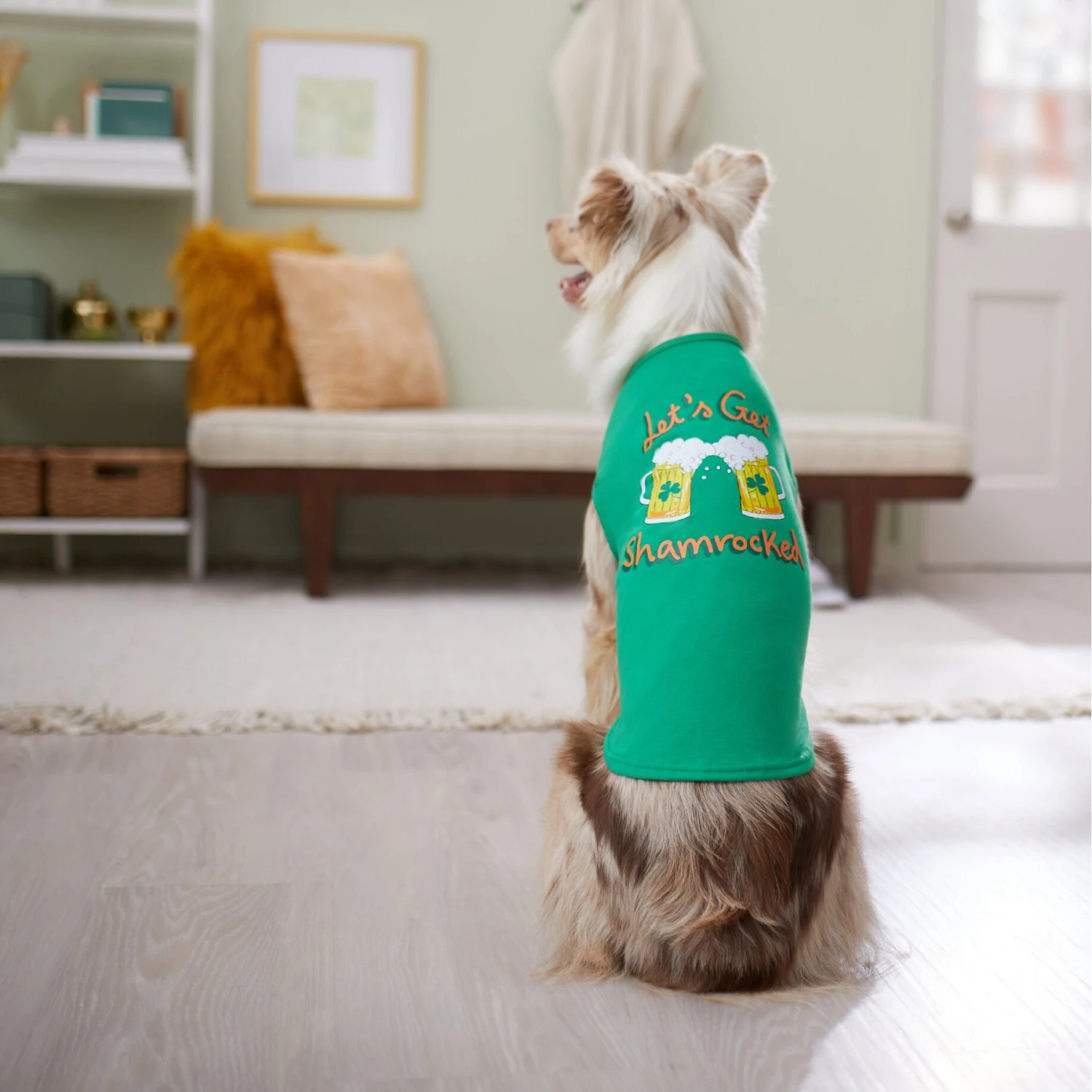 Frisco Let's Get Shamrocked Dog & Cat T-Shirt - Image 6