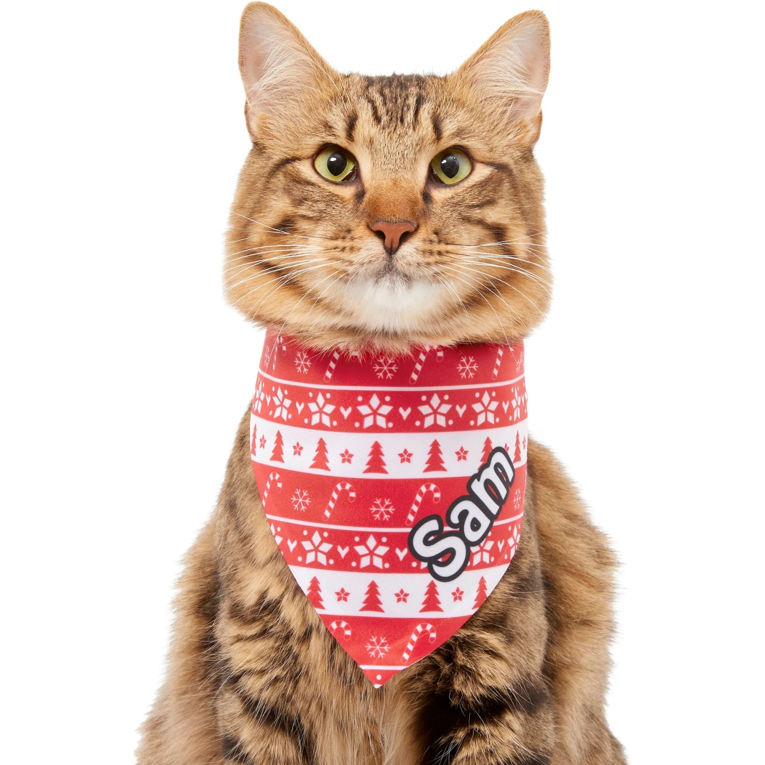 Frisco Fair Isle Personalized Dog & Cat Bandana - Image 8