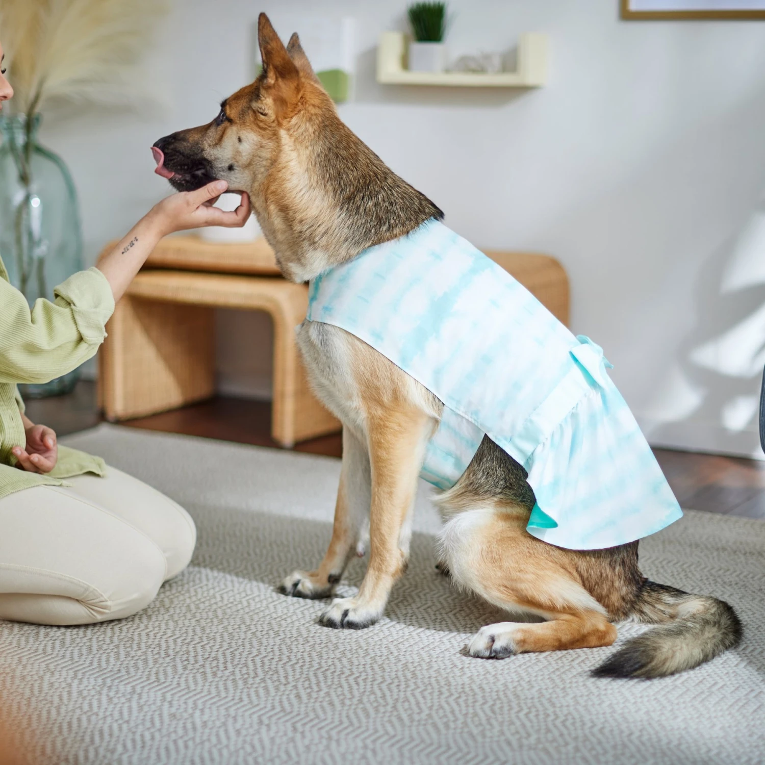 Frisco Green Tie Dye Dog & Cat Dress - Image 6