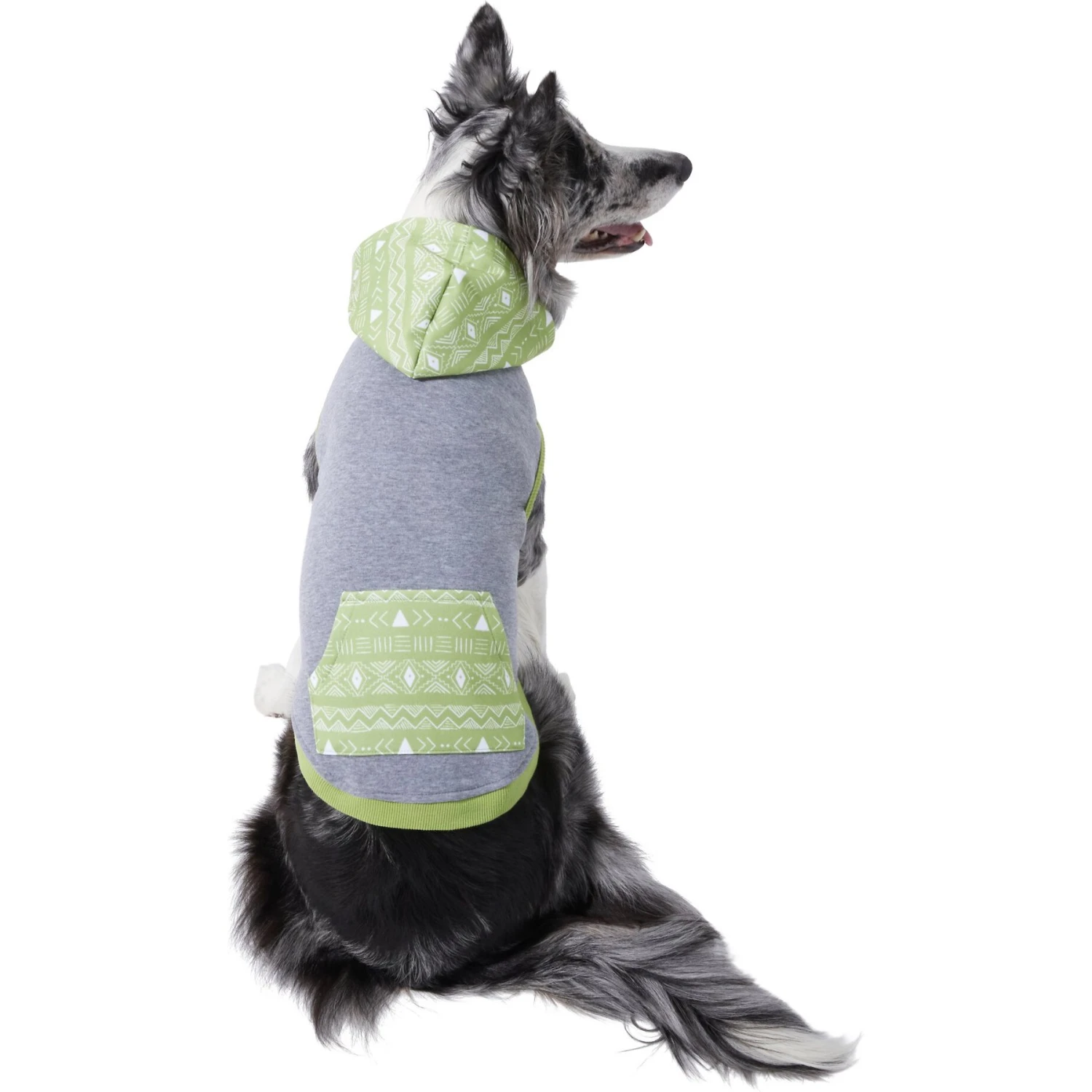 Frisco Green Southwest Dog & Cat Hoodie