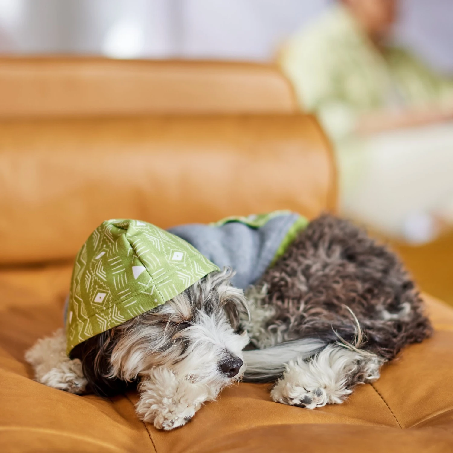 Frisco Green Southwest Dog & Cat Hoodie - Image 7