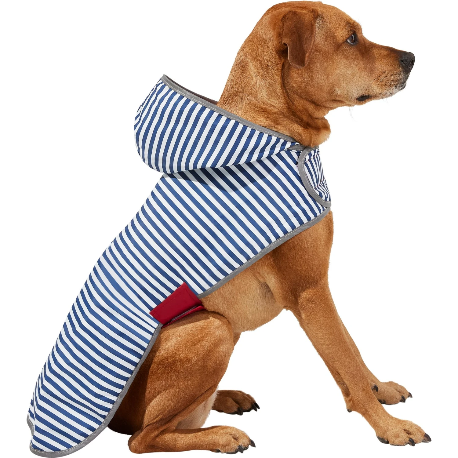 Frisco Lightweight Red Reversible Packable Dog Raincoat - Image 3