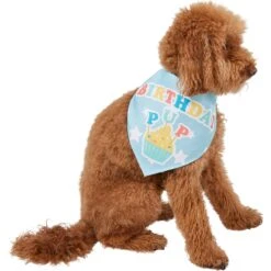 Frisco Birthday Pup Dog & Cat Bandana