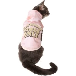 Frisco Pawsitive Vibes Only Dog & Cat Hoodie