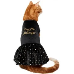 Frisco Kiss Me At Midnight Dog & Cat Dress