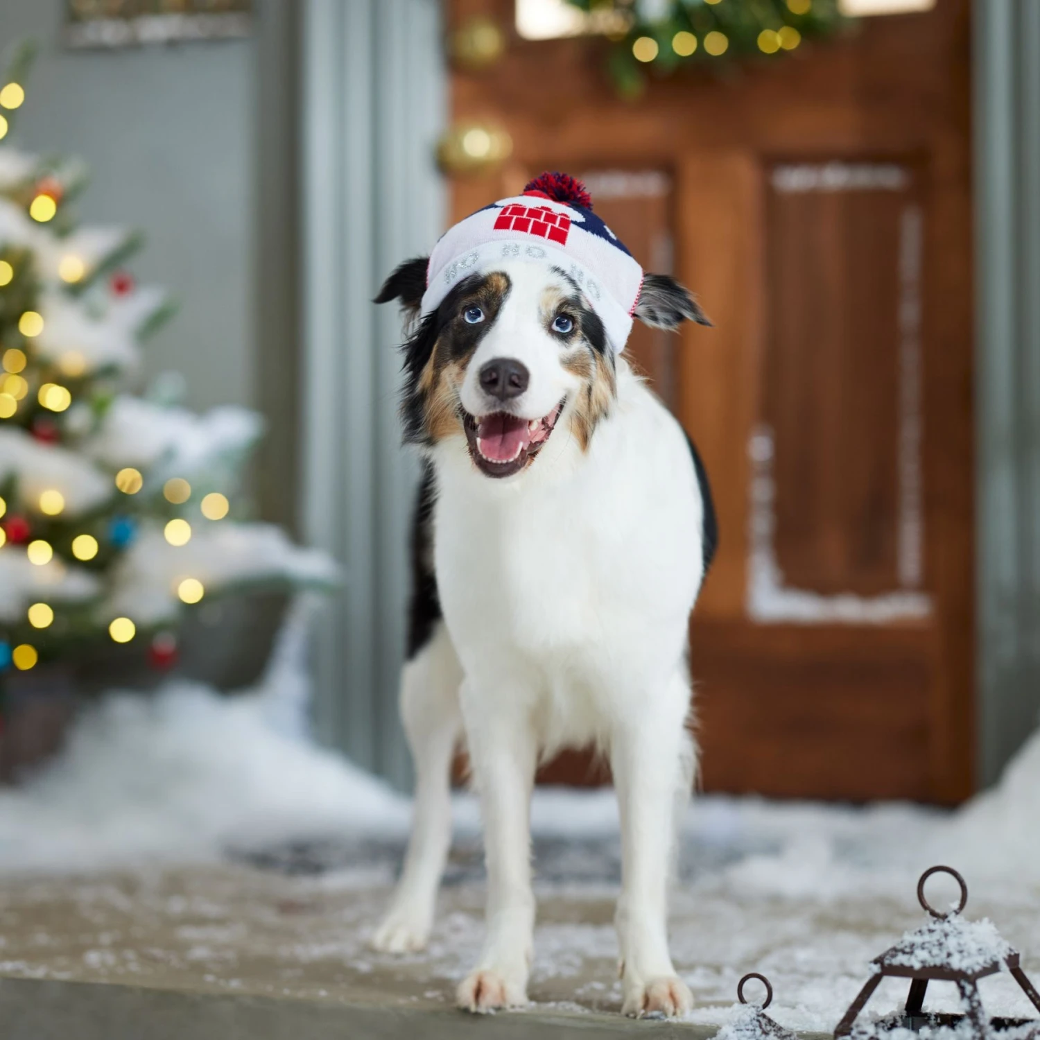Frisco Ho Ho Ho Dog & Cat Hat - Image 5