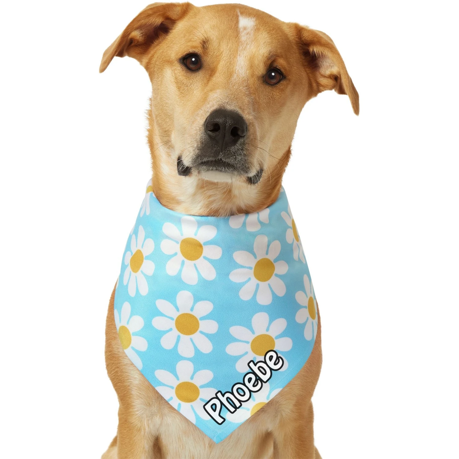 Frisco Personalized Blue Daisy Bandana - Image 8
