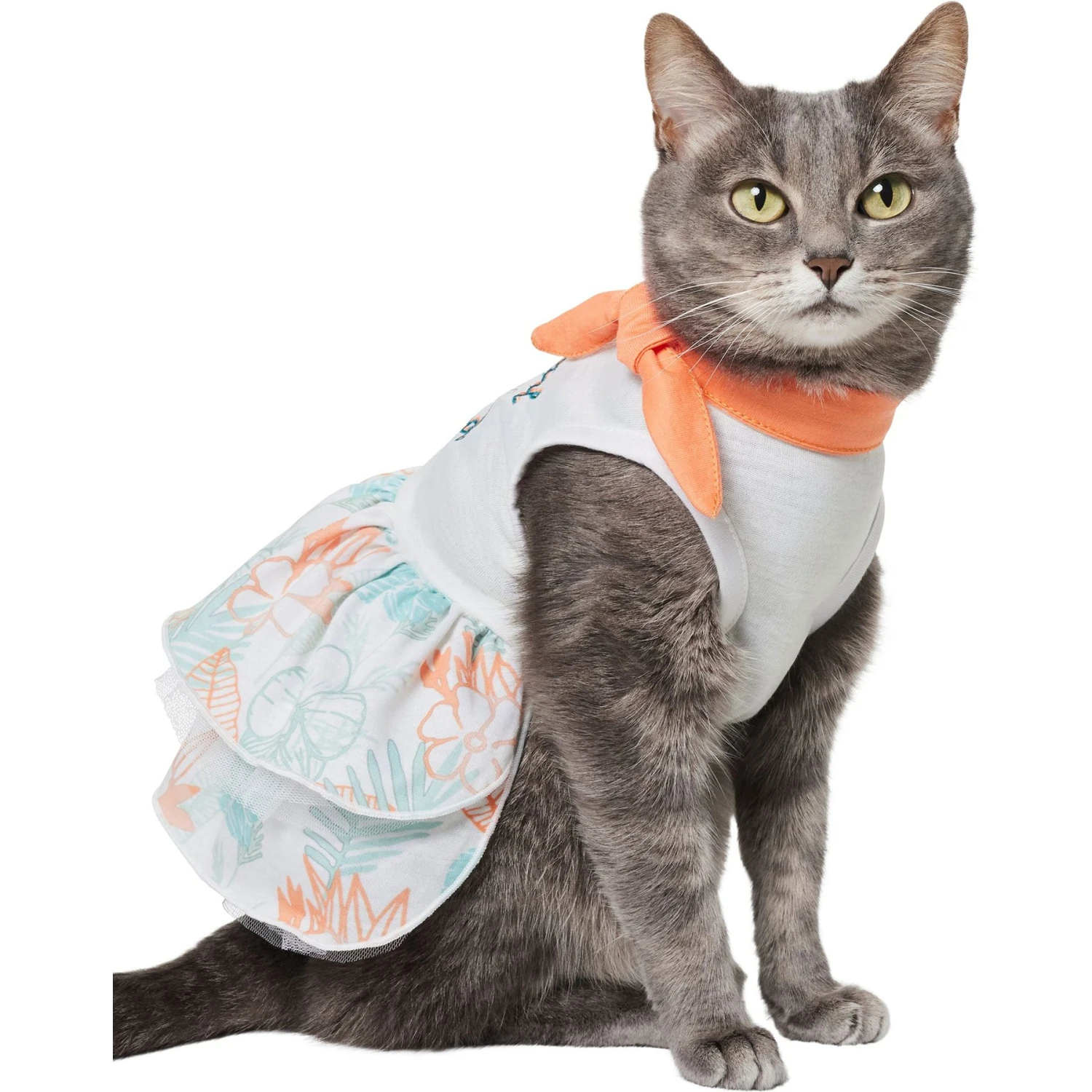 Frisco Tropical State Of Mind Dog & Cat Dress - Image 3