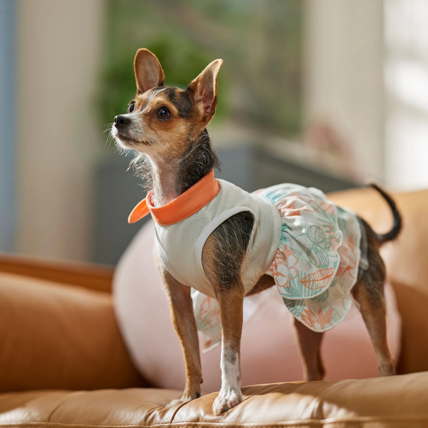 Frisco Tropical State Of Mind Dog & Cat Dress - Image 6
