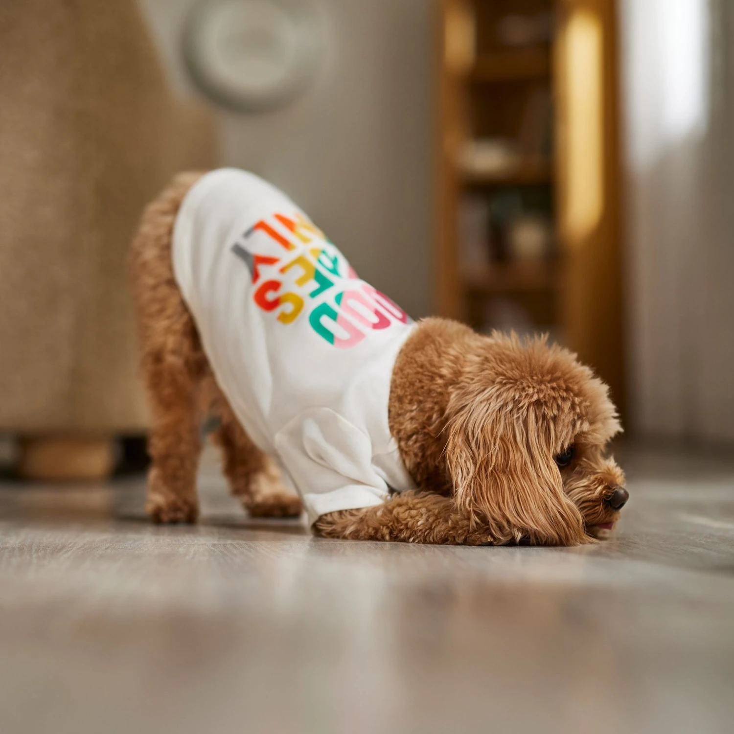 Frisco Good Vibes Only Dog & Cat T-Shirt - Image 6