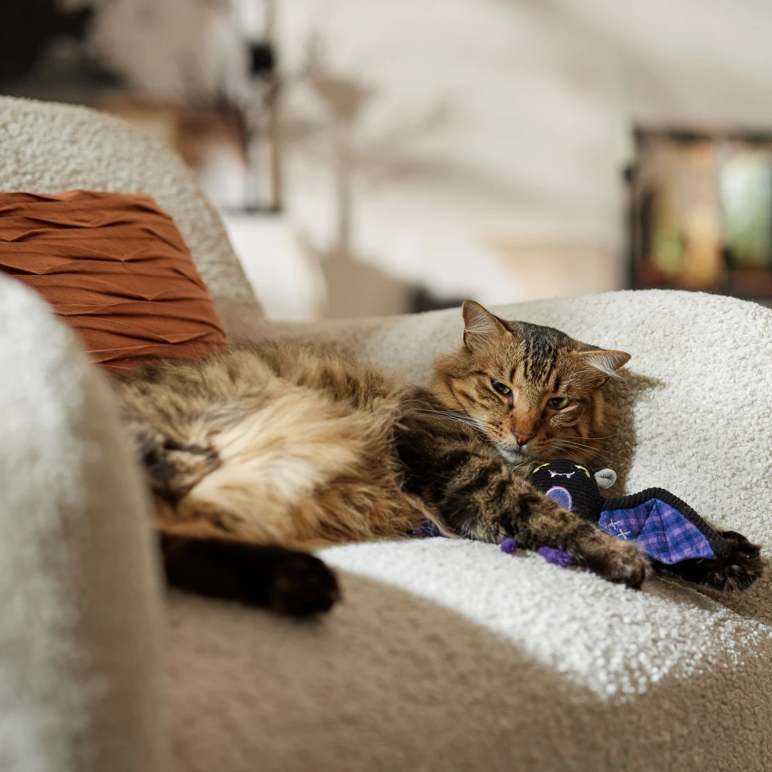 Frisco Halloween Cutie Bat Plush Cat Toy With Catnip - Image 3