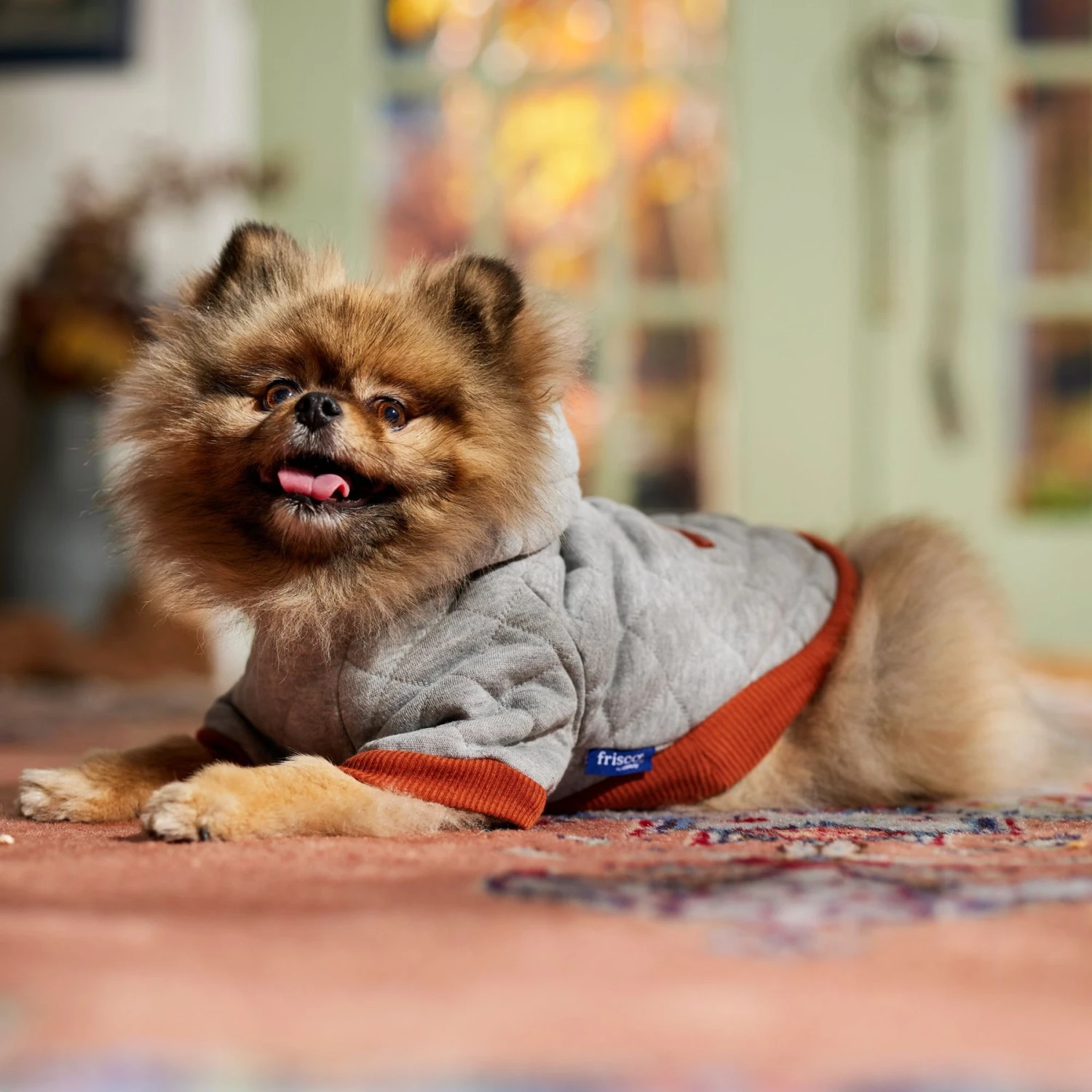 Frisco Quilted Dog & Cat Hoodie - Image 8