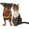 Frisco Reversible Cozy Knit Faux Fur Dog & Cat Pullover Bandana